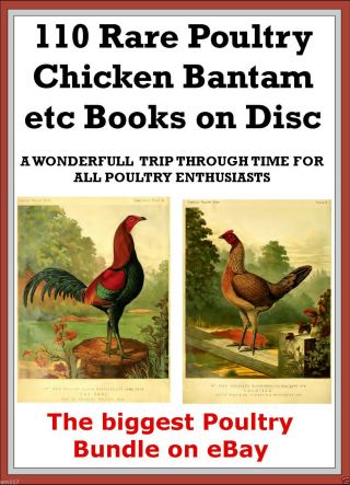110 Rare Books Poultry Bantam Chicken Vintage Antiquarian Dvd Jpeg Pics