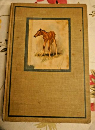 John Steinbeck The Red Pony 1945 Hc Wesley Dennis Color Illustration 1st Ed.