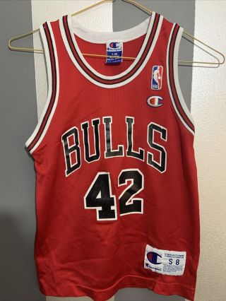 Vtg Champion Chicago Bulls Nba Basketball Elton Brand 42 Jersey Youth Size 8