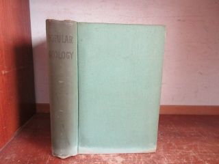 Old Geology Book Primitive Human Stone Age Rock Mountain Fossil Science Ocean,