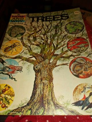 How And Why Book Of Trees C.  1976 Children 