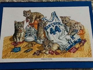 Kentucky “wildcats In Training " Print Signed By Artist Danny Davis Not Numbered