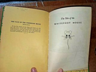 Vintage - 1940 The Tale Of The Whitefoot Mouse by Henry B.  Kane / Hardcover 2