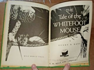 Vintage - 1940 The Tale Of The Whitefoot Mouse by Henry B.  Kane / Hardcover 3
