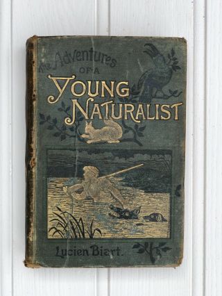 The Adventures Of A Young Naturalist - Lucien Biart