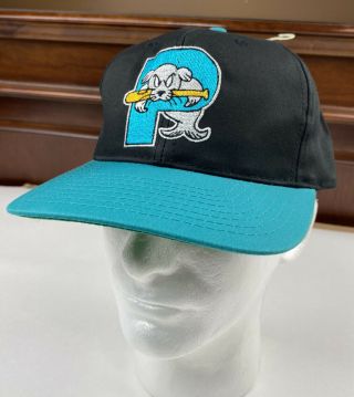 New/nwot (tiny Mark) Vintage Portland Sea Dogs Snapback Hat/cap,  Mlb/milb