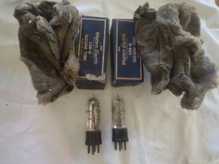 PAIR WESTERN ELECTRIC 239 - A MIC PREAMP VACUUM TUBE - WRAPPING, 2