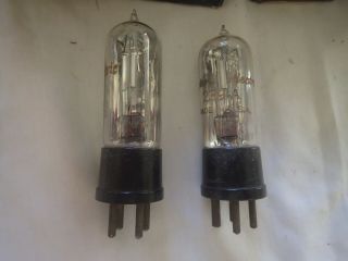 PAIR WESTERN ELECTRIC 239 - A MIC PREAMP VACUUM TUBE - WRAPPING, 3