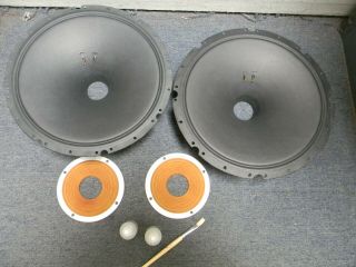 Tannoy Silver,  Black 15  Monitor Cone Paper With Lead Wire No Voice Coil Pair