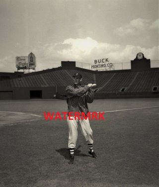 1954 Ted Williams Boston Red Sox Al Hof @ Fenway Park 8x10 Photo Wow
