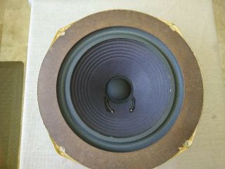 Vintage Advent Loudspeaker Woofer w/Masonite ring / Refoamed /VG Cond. 3