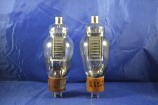 (1) Strong Testing Grey Plate Rca Type 811 Audio Vacuum Tubes