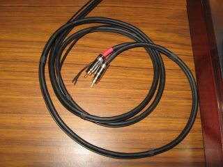 Technics Thorens Turntable 24k Rcas Audio Interconnect Rca Cable W/ground 8 Ft