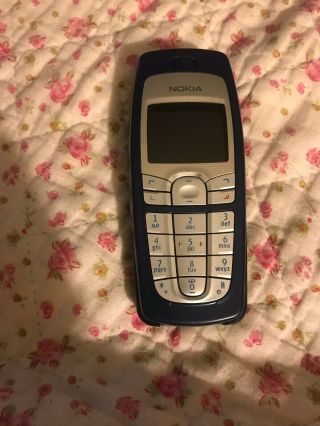 Nokia 6010 Phone With Charger And Case