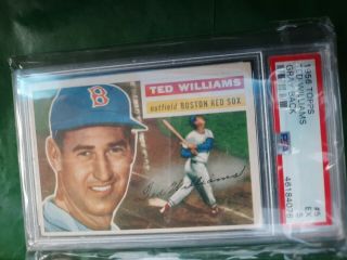 1956 Topps Ted Williams Gray back 5 PSA 5.  CARD Sharp Corners 2