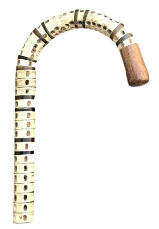 Vintage Antique 1800’ Veterbrae Shark Crook Handle Horn Tip Walking Stick Cane