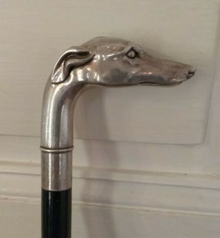 Vintage Solid Sterling Silver Cane Walking Stick,  Lovely Greyhound Dog Head 925 3