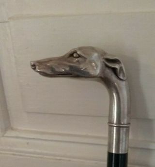 Vintage Solid Sterling Silver Cane Walking Stick,  Lovely Greyhound Dog Head 925 4