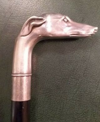 Vintage Solid Sterling Silver Cane Walking Stick,  Lovely Greyhound Dog Head 925 6