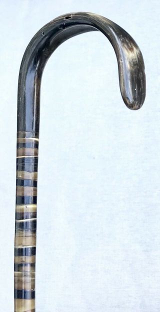 Vintage Antique 1800’ Stacked Horn Crook Handle Walking Stick Cane Old