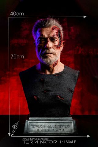[terminator] Arnold Schwarzenegger T - 800 Old Ver.  1:1 Life Size Bust (pre - Order)