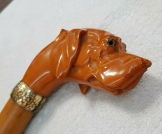 Antique Carved amber Bakelite dog head umbrella handle top cane 2