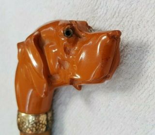 Antique Carved amber Bakelite dog head umbrella handle top cane 3