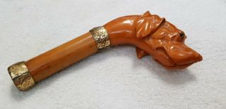 Antique Carved amber Bakelite dog head umbrella handle top cane 4