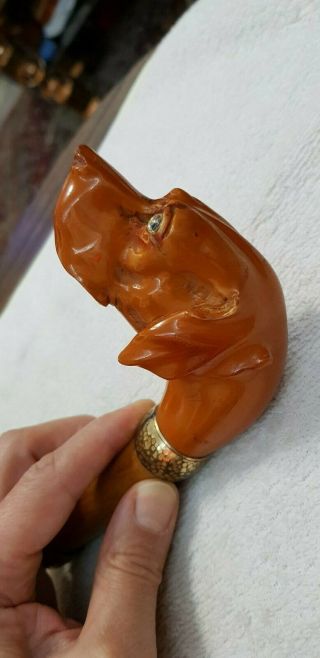 Antique Carved amber Bakelite dog head umbrella handle top cane 6