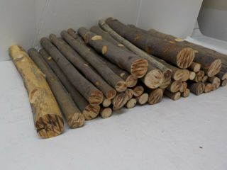 42 Real Natural 13 " Wood Logs For Your Lumber Yard,  Log Cars Or Flatcars G Scale