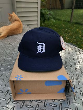 Vintage Detroit Tigers Snapback Hat - Green Bill - Very Rare 80s 90s - Grosscap
