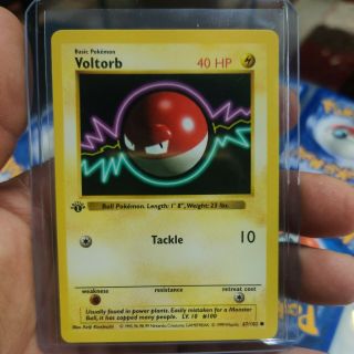 1999 Voltorb 67/102 1st Edition Base Set Shadowless Pokemon Psa 9? Psa 10?