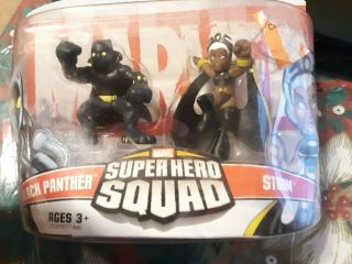Marvel Hero Squad Black Panther And Storm
