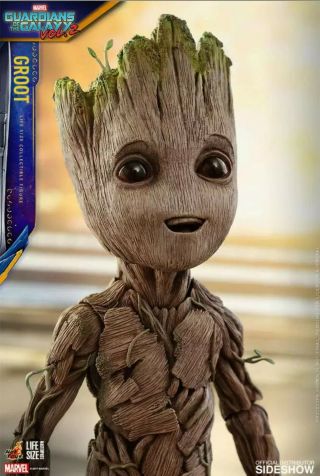 Hot Toys LMS004 GOTG VOL.  2 Life - Size 1:1 Scale BABY GROOT Factory 6