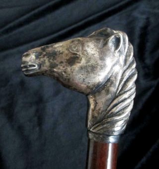 Sterling Silver Horse Head Italian Walking Stick Cane Beechwood Horn Bolcas