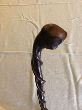 Antique Rootball Blackthorn Walking Stick With Vines