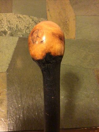 Vintage Rootball Blackthorn Walking Stick