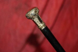 Divine Victorian Gold Knob Cane W/Fine Ebony Shaft & Tip 2