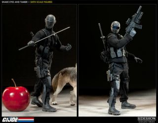 Sideshow Gi Joe 1/6 Scale 12 " Snake Eyes W/ Timber Exclusive Wolf Not Hot Toys