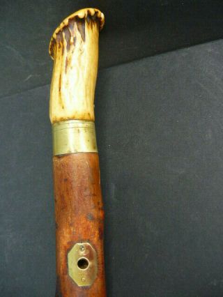 Antique Antler Stag Handle,  Brass Plate & Base Cane / Walking Stick - Folk Art -