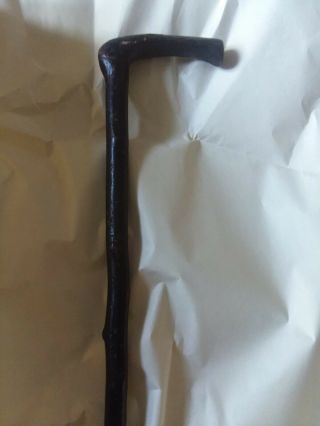Vintage Antique Authentic Irish Blackthorn Shillelagh Walking Stick Cane 26.  1 "