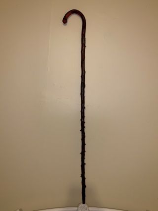 Vintage Irish Blackthorn Shillelagh Cane Walking Stick Cane