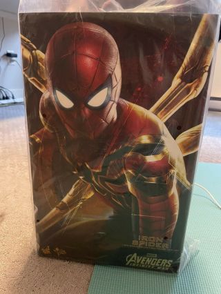 Hot Toys Iron Spider Man 1/6 Action Figure