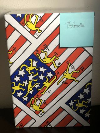 Medicom Keith Haring American Flag Bearbrick 400 100 Designer Con
