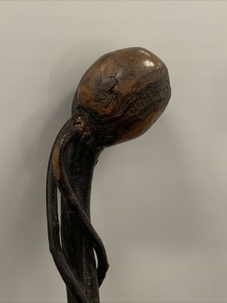Antique Rootball Blackthorn Walking Stick With Vines Cane