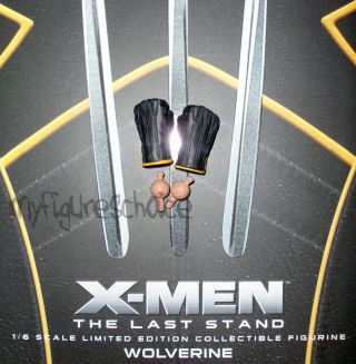 Hot Toys - 1:6 X - Men : The Last Stand " Wolverine " Hands 01