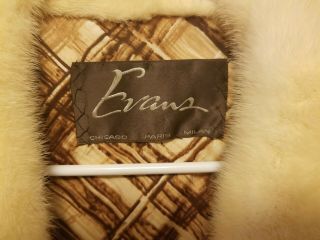 Vintage Evans Dual Color Fur w/ Leather Trim & Belt 2