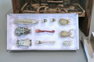 Neca Predator 2 Trophy Wall Diorama With Bonus Skull Pack Set Rare Hard To Find