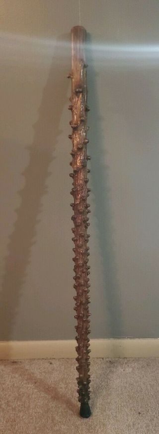 Vintage Irish Blackthorn Shillelagh Knobby Walking Stick