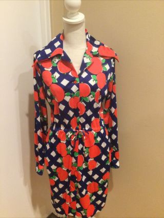 Vintage Cole Of California 1970’s Blue And Red Apple Dress Size Large